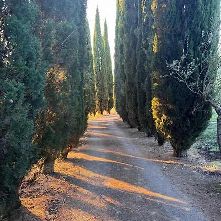 Le Porrine Hébergement de vacances