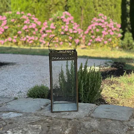 Hébergement de vacances Le Porrine Castelnuovo di Val di Cecina